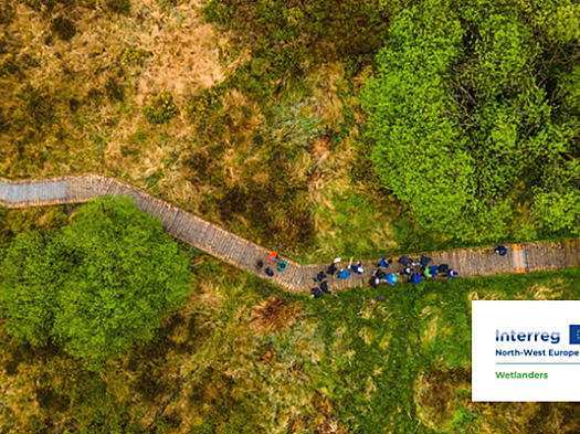 Ariel view of boardwalk running through wetland with people walking on it