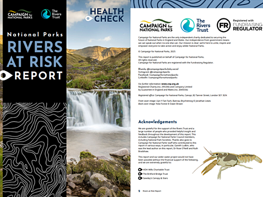 Front page and acknowledgements of the Rivers at Risk Report