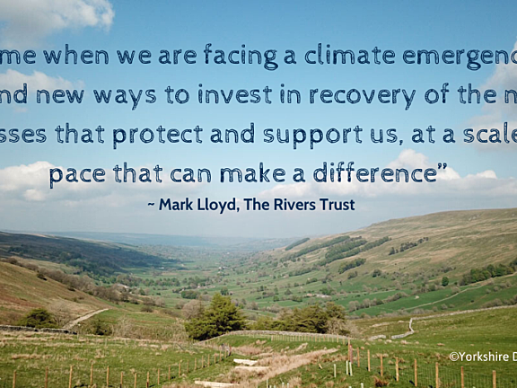 Image with Quote Wyre NFM Launch Twitter