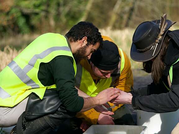 Three people in high visibility jackets crouched over a tray outside looking at something in their hands