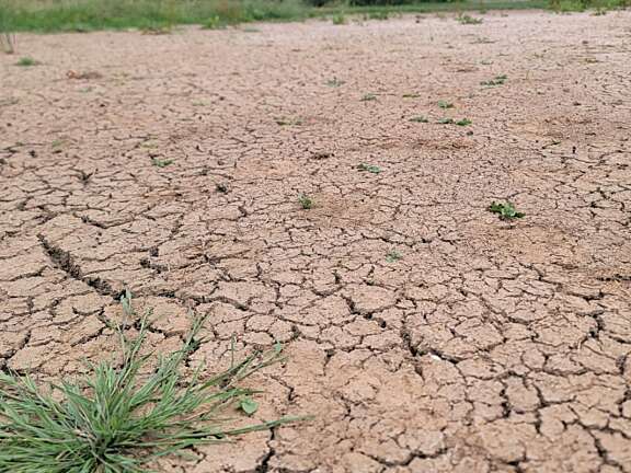 Dry cracked earth that is a riverbed undergoing drought