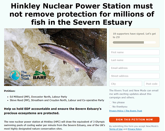 a screen grab of the page where the petition is hosted