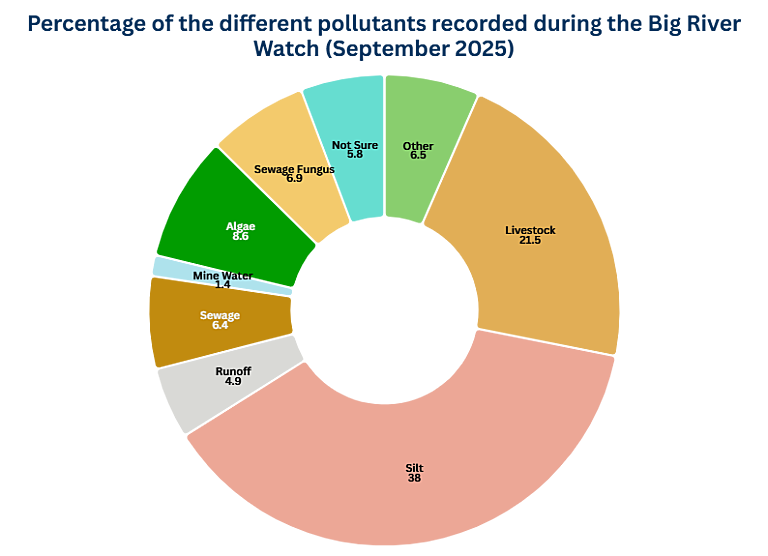 A pie chart with each section displaying a different type of pollution and how many times it was seen
