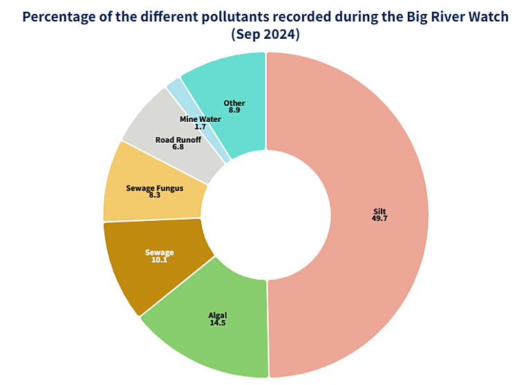 Graph showing the different pollutants seen by percentage