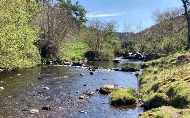 a wide shallow river