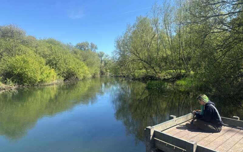 Woman with green hair sat crossed legged on a wooden jetty over a river.