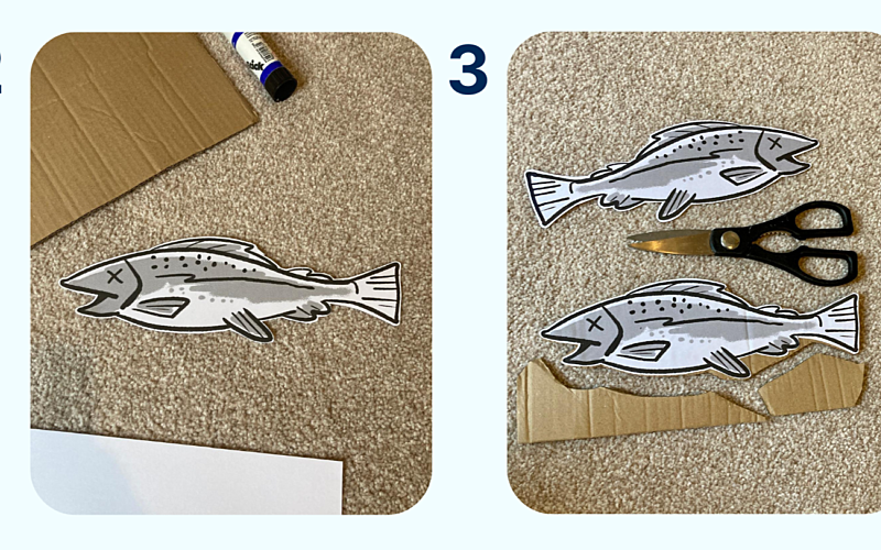 Two images show two fish graphics cut out from a piece of paper, and one being stuck to a piece of cardboard