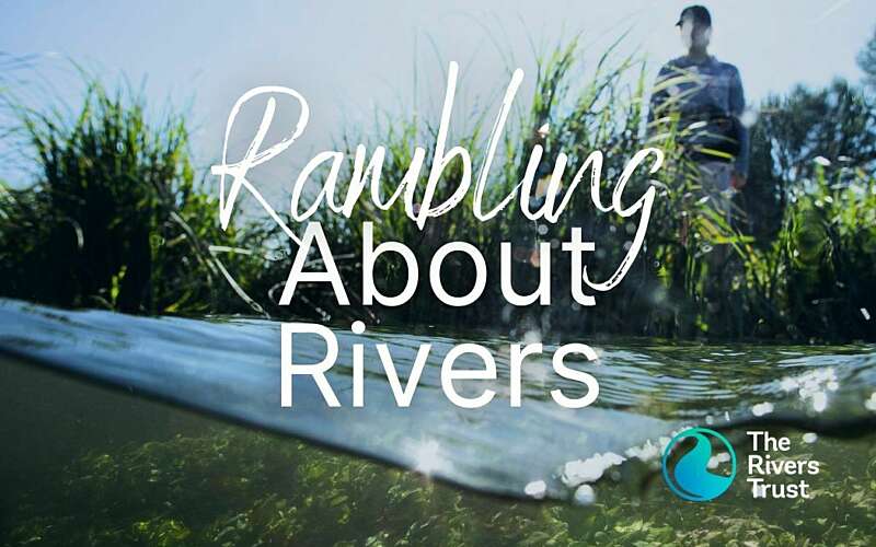Podcast artwork the text Rambling About Rivers is laid over an image taken in the river at the waterline with sun and a person overlooking the river from the banks