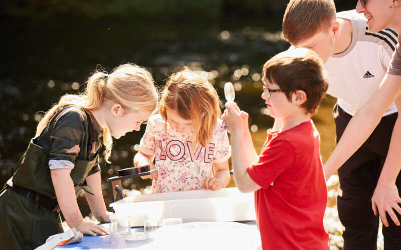 Group of children investigating river samples