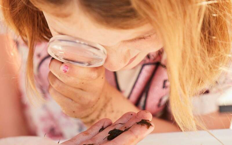 Young girl examining a water sample through a looking glass