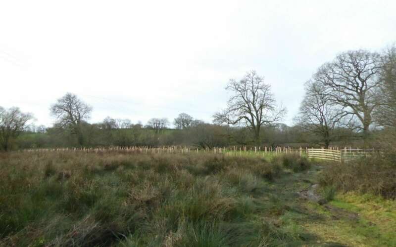 Leaky dam at Deer Meadows in Devon
