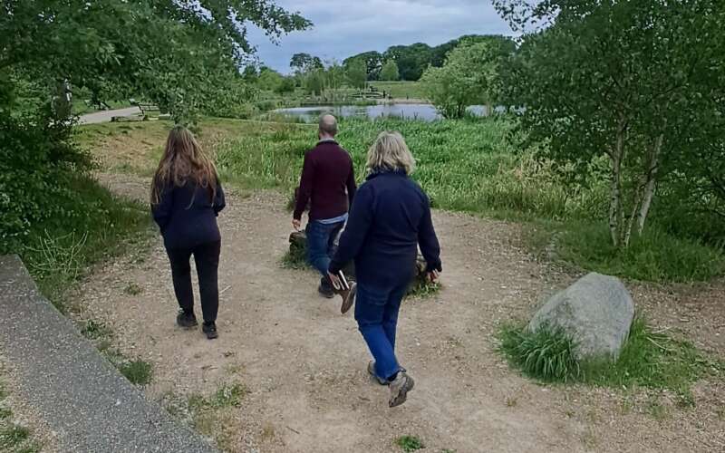 People visiting a wetland