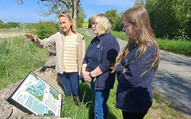 people looking at a wetland