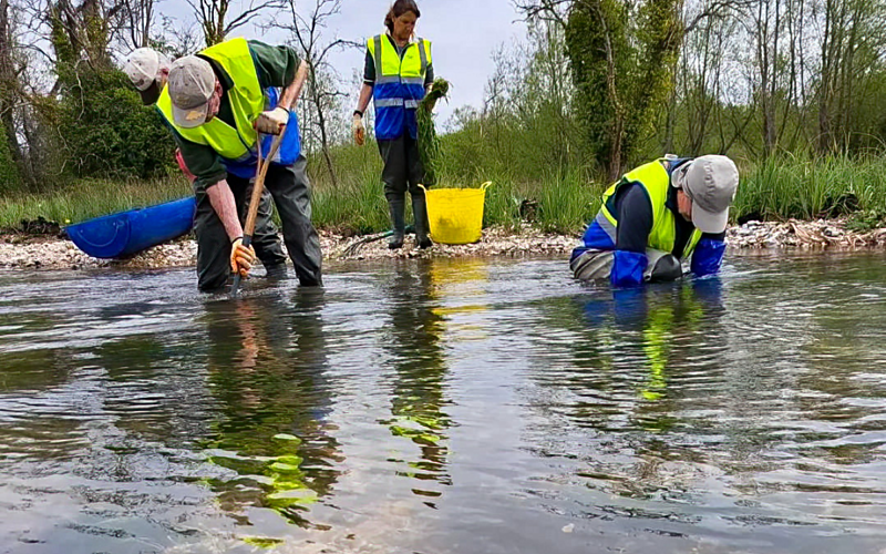 People in high vis jackets stood in a river holding spades