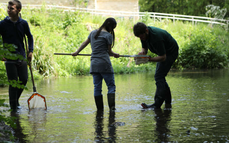 Children wading in a river