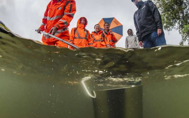 Testing river water