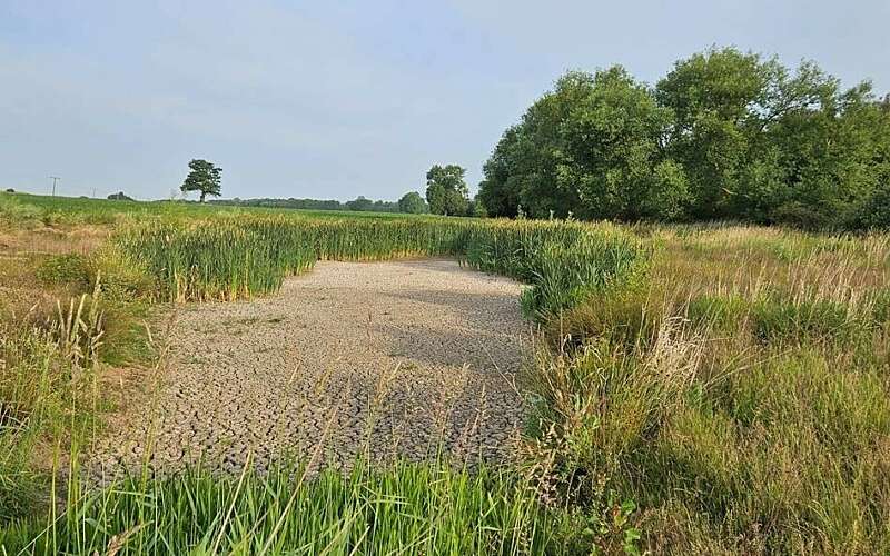 a completely dried out pond as part of a wetland