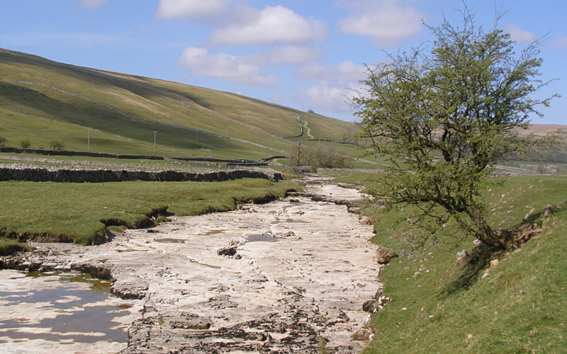 A dry river with very little water running through a green landscape with a single tree on the right riverbank