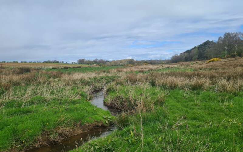 A thin river winds through low green grassland