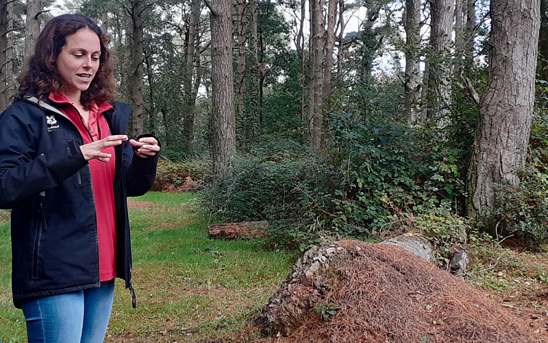 Woman in blue jeans, red shirt, and navy rain coat stood in forest