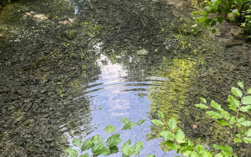 river