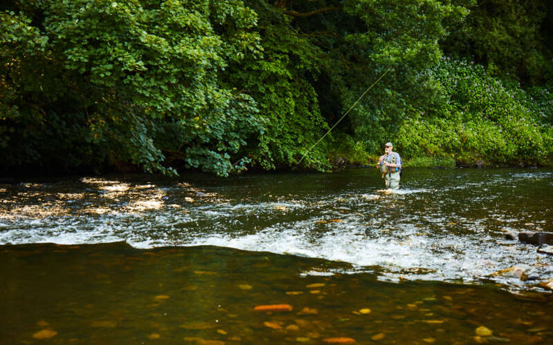 Male fisherman in river