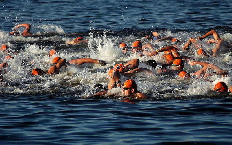 A group of people swimming