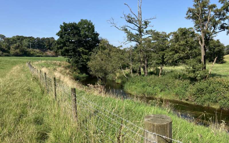 Livestock exclusion fencing protects a vegetated edge of a small river
