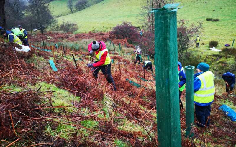 Volunteers planting trees in the Ribble catchment