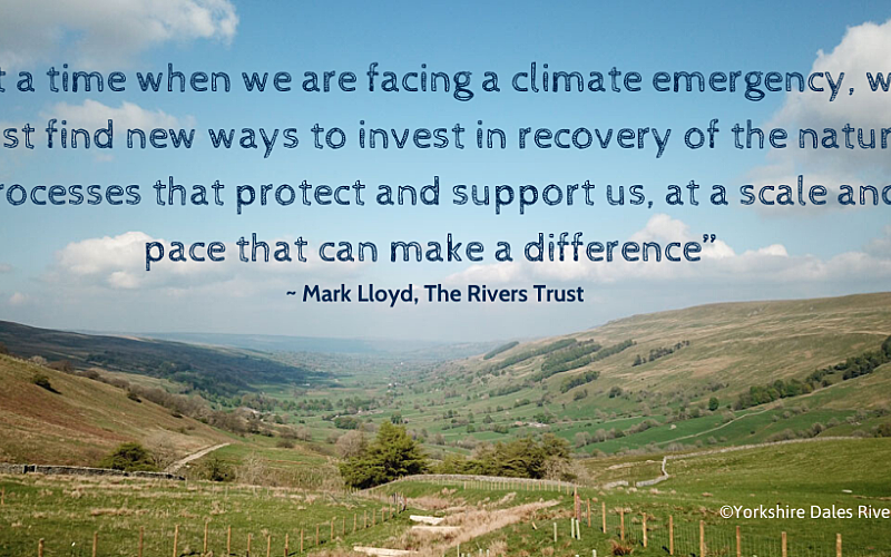 Image with Quote Wyre NFM Launch Twitter