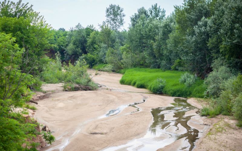 a dried out riverbed