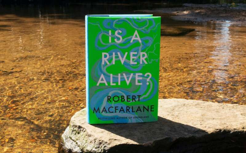 A green hardback book stands upright on a rock in a river