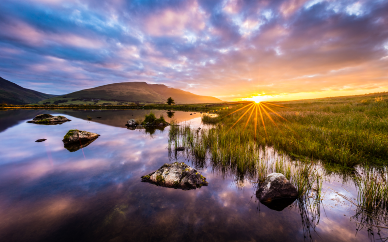 Resilient Glenderamackin