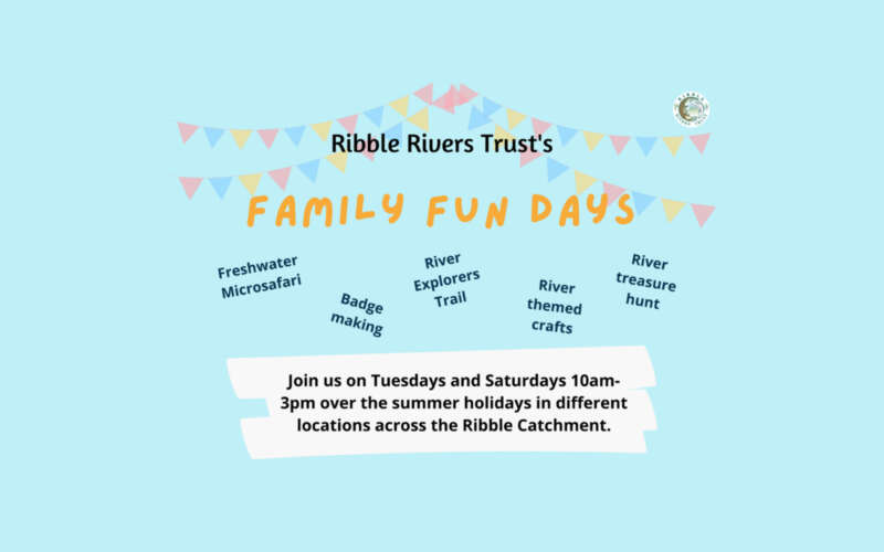 Family fun days poster