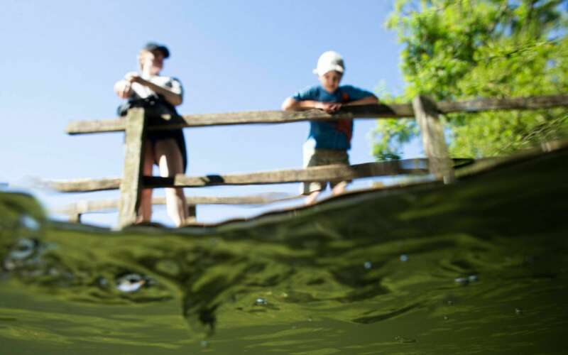 Two children looking down on a river