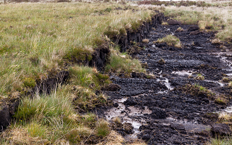 Protecting peat