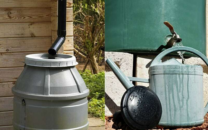 tubs connected to roof guttering collect rainwater