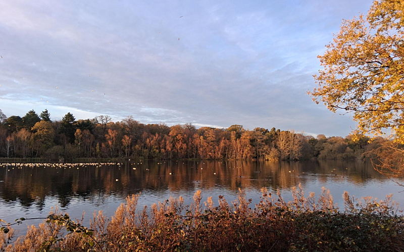 wintery river scene with trees in the background