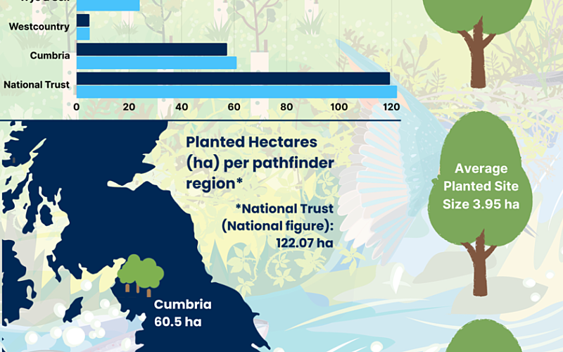 Infographic displaying project final figures