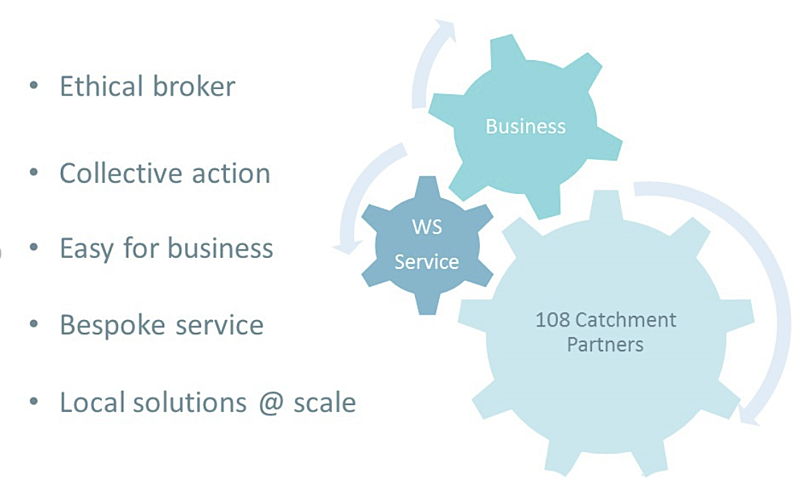 Water Stewardship diagram, showing key roles