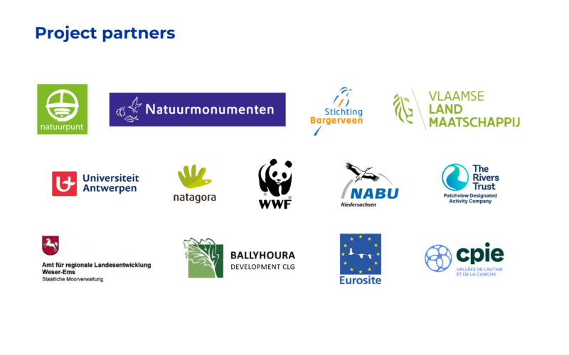 Collection of logos from different supporting organisations