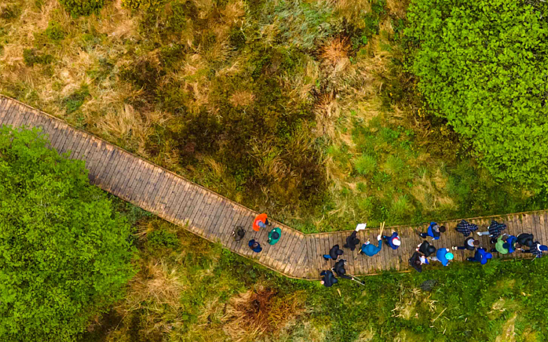 Ariel view of boardwalk running through wetland with people walking on it