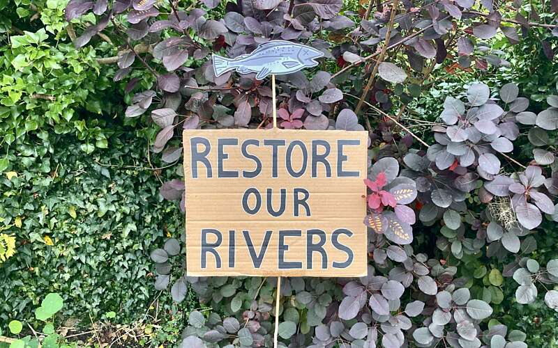 A cardboard fish is shown positioned above a cardboard protest sign that reads 'Restore our rivers'