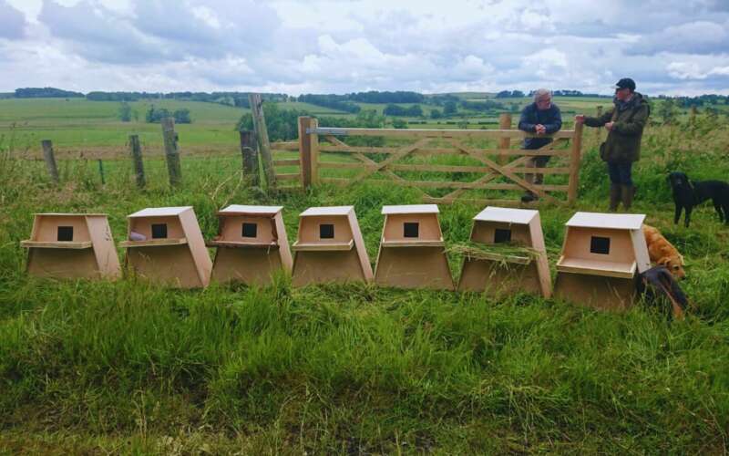 Two men talking in front of volunteer made bird boxes