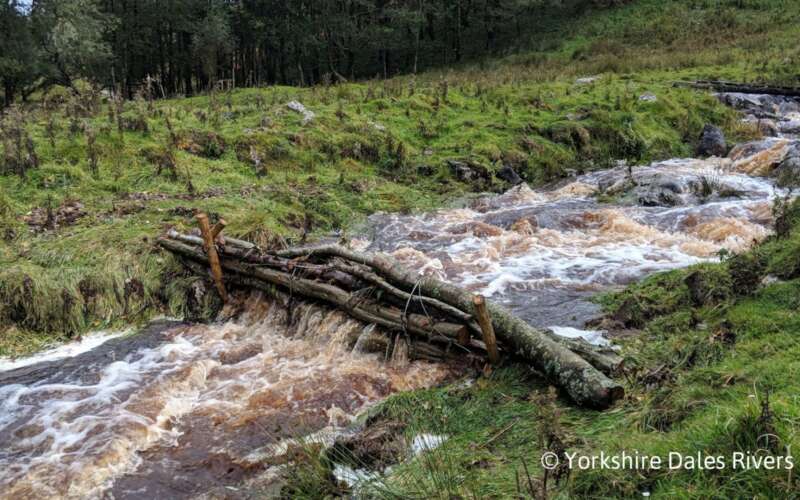 leaky dam in river