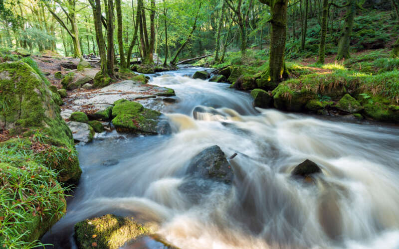 slow exposure flowing river water over rocks through a woodland