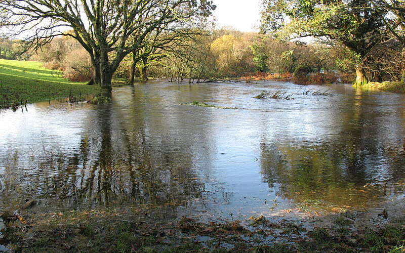 Web Tregrenna floods 11 10 002