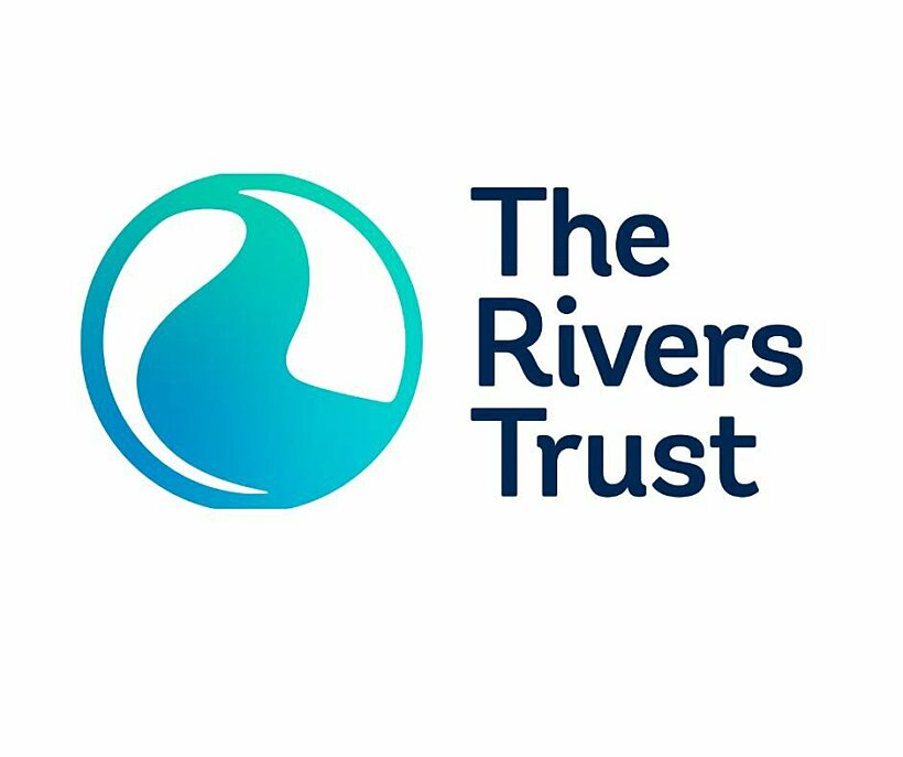 RT logo full colour with pale background