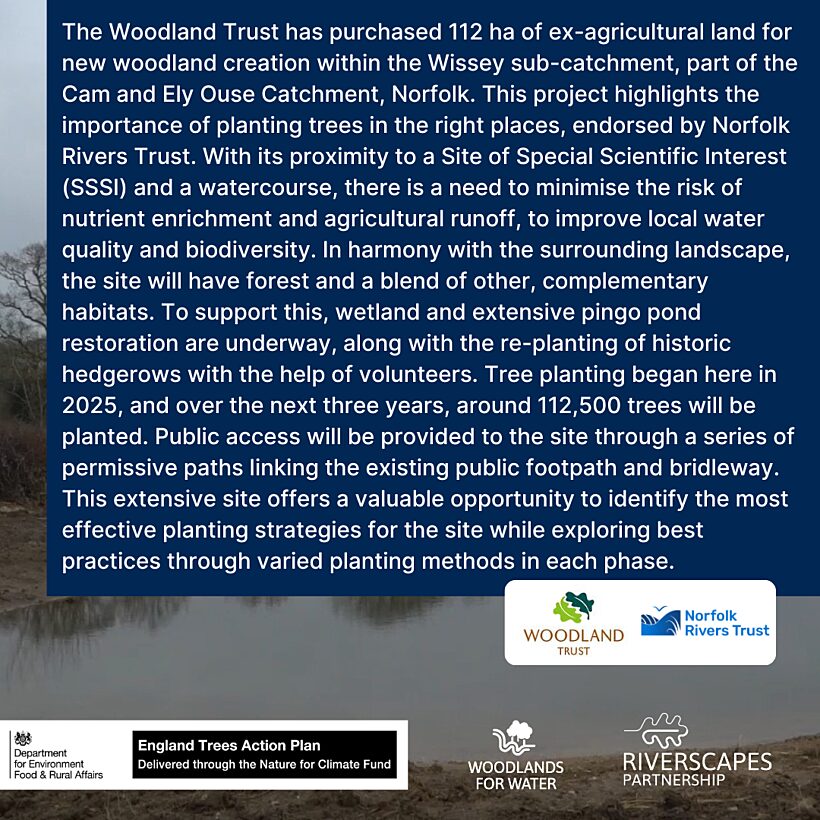 Norfolk Rivers Trust & Woodland Trust case study of Thompson Wood