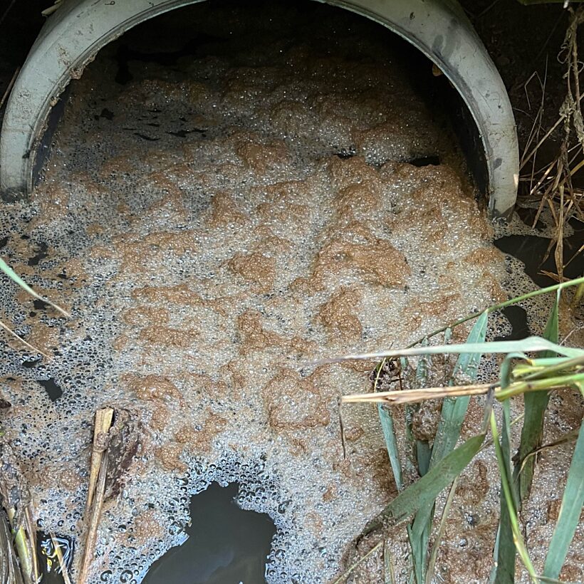 A close up view of a pipe in water with foamy light brown sewage flowing out of it